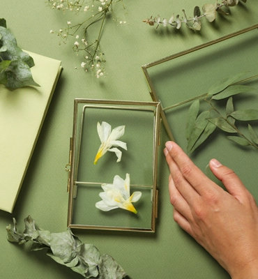 Herbier moderne sous verre
